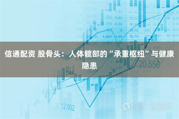 信通配资 股骨头：人体髋部的“承重枢纽”与健康隐患