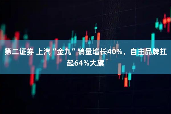 第二证券 上汽“金九”销量增长40%，自主品牌扛起64%大旗