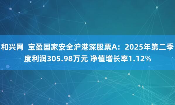 和兴网  宝盈国家安全沪港深股票A：2025年第二季度利润305.98万元 净值增长率1.12%