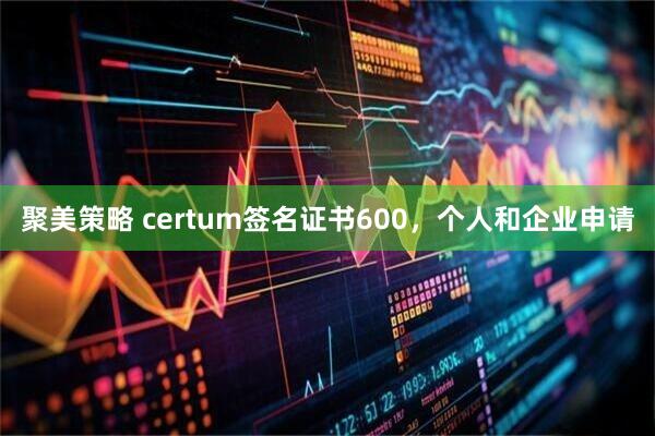 聚美策略 certum签名证书600，个人和企业申请