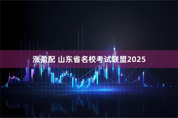 涨盈配 山东省名校考试联盟2025